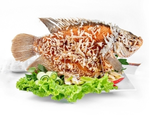 Cá Tai Tượng Chiên Xù